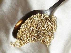 Quinoa Superfood \"quinoa2