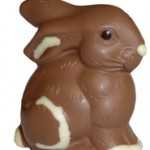 Rabbits,pregnancey,HCG,Easter Bunny,The Rabbit Died ...