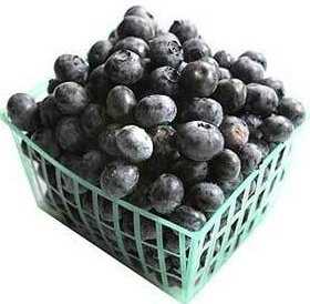 Blueberries1 \"Blueberries14