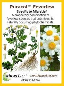 Feverfew for Migraines - High Parentholides - Best Quality \"Feverfew