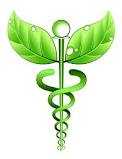 Doctor Recommended2