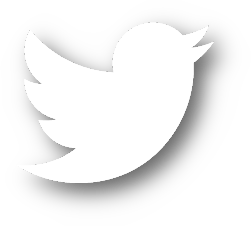 twitter logo