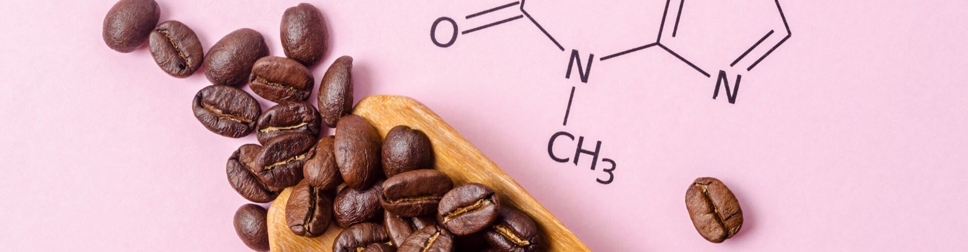 Quaffeine High Salt, Sedentary Lifestyle, and Cognitive Decline Risks