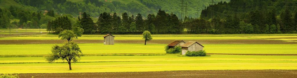 Growing Up On The Farm May Not Be The Healthy Environment It Seems To Be