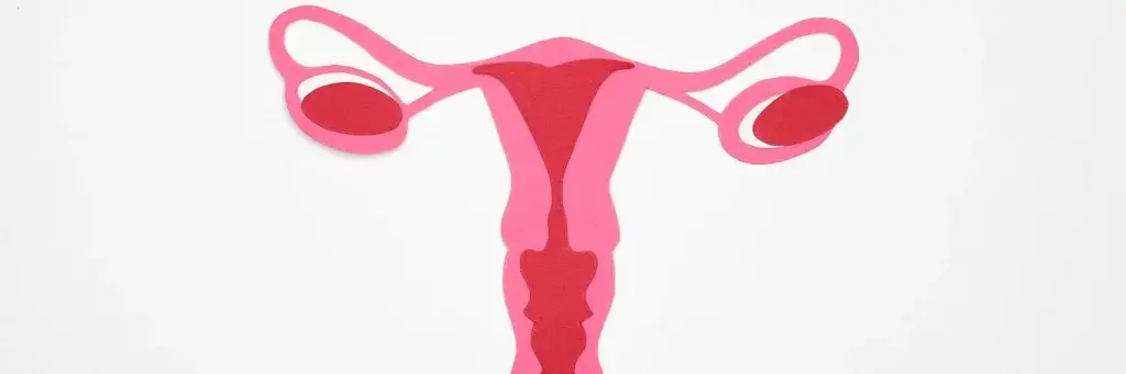 REMOVAL OF OVARIES DOES NOT AFFECT LIFE EXPECTANCY