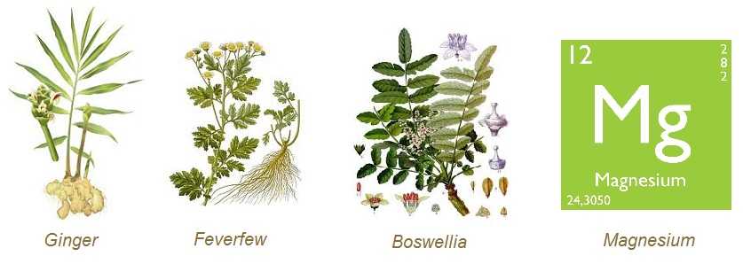 Ginger Feverfew Boswellia Magnesium - MigreLief-NOW