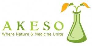Akeso logo jpg