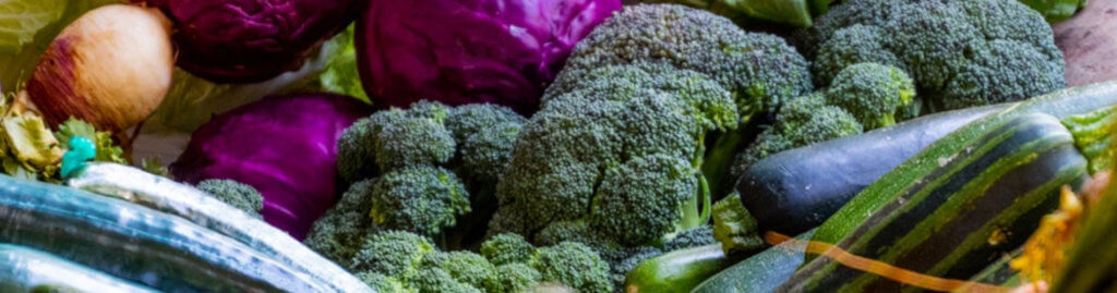 The Anti-Migraine Diet