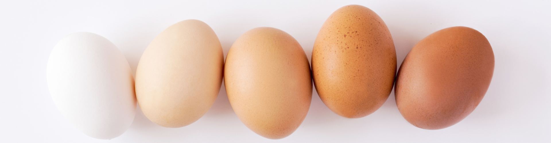 The Truth About Eggs and Cholesterol MigreLief