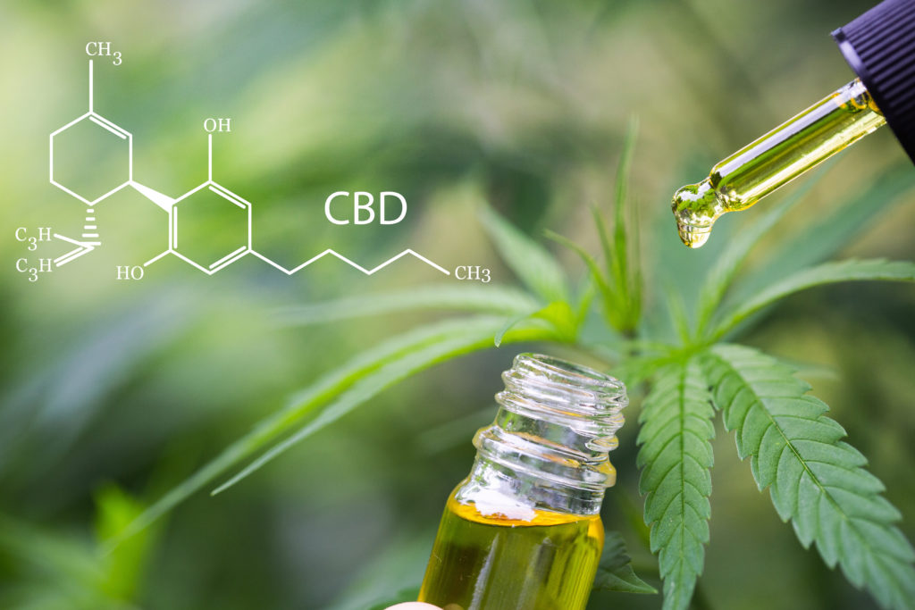 CBD elements in Cannabis, Hemp oil, medical marijuana, cannabinoids and health.