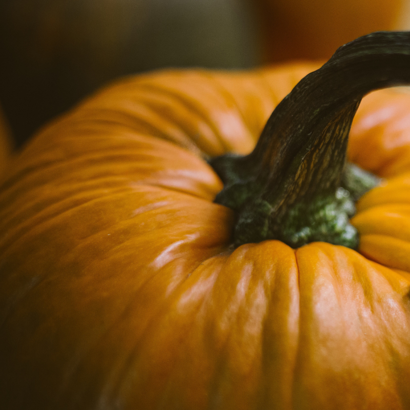 Pumpkin for Health, Pumpkin Seeds, Weight Loss & More!