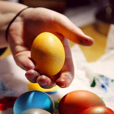 HEALTHY EASTER EGGS & The Truth About Cholesterol