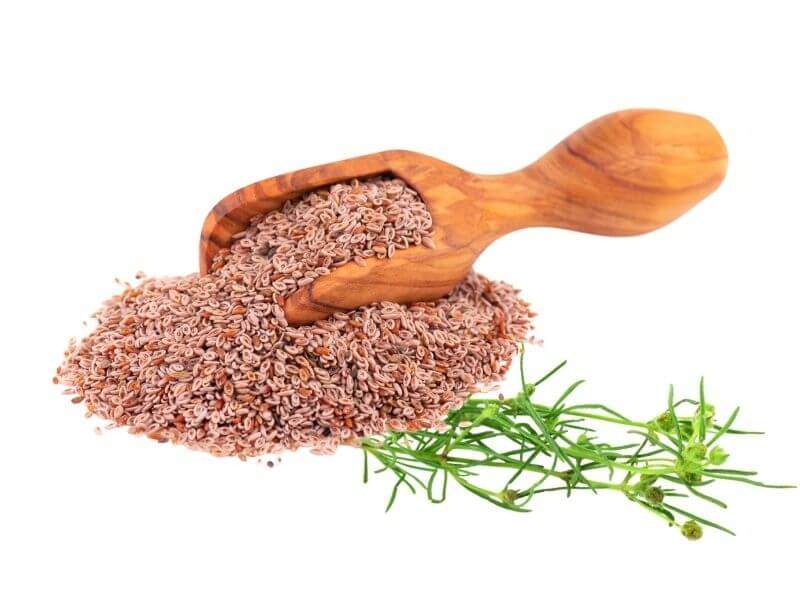 Psyllium – Dietary Fiber, Health Benefits and Uses