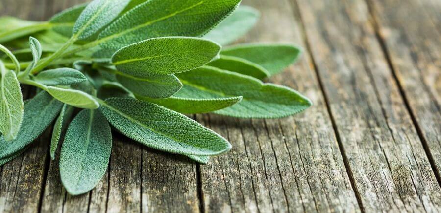 Sage Benefits