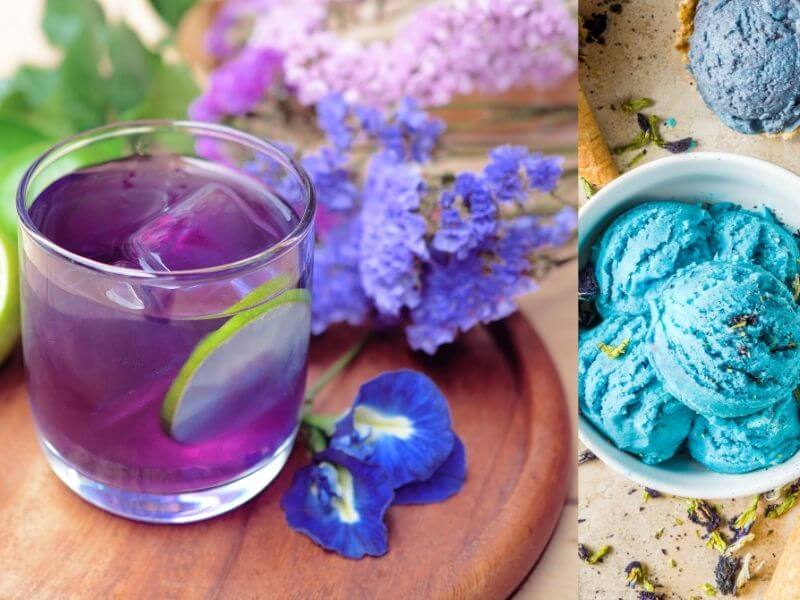 Butterfly Pea Flower Recipes