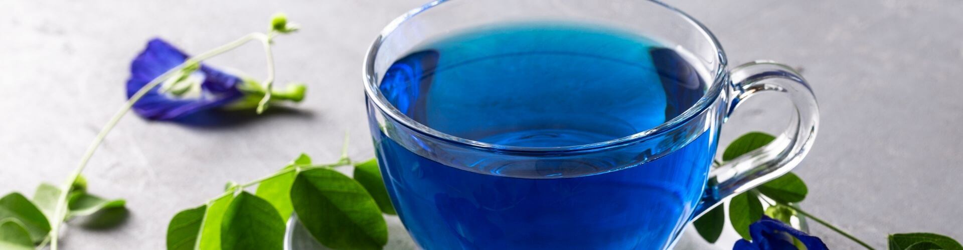 Blue Tea 10 Benefits of Butterfly Pea Flower Tea