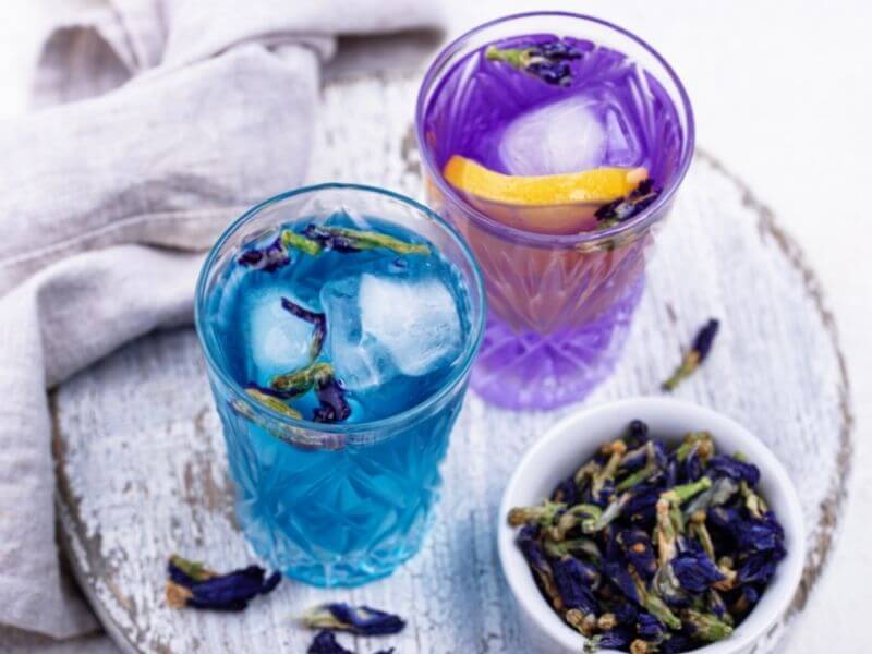 Blue Tea: 10 Benefits of Butterfly Pea Flower Tea + Recipes