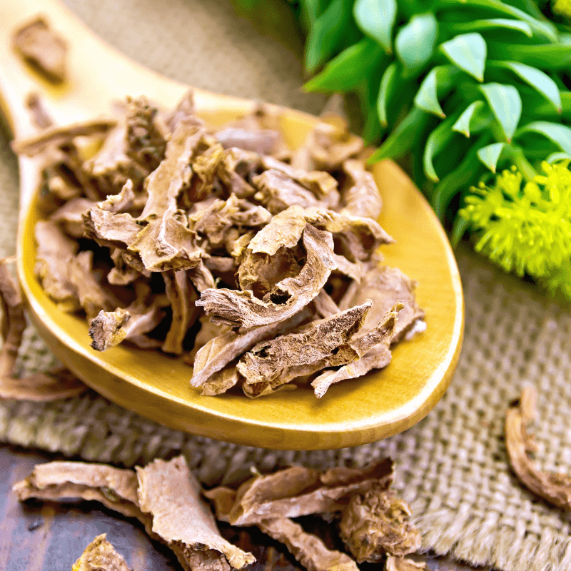 Benefits of Rhodiola: Proven Ways This Herb Can Benefit Your Health