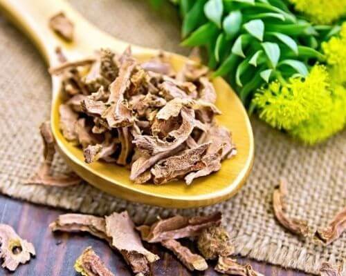 Rhodiola herb - supplements for depression