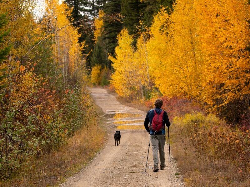 fall outdoors