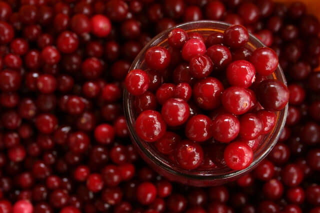 cranberry holiday food