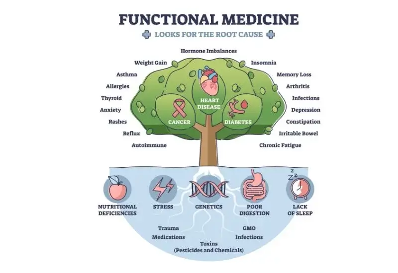 Functional Medicine Info-graph