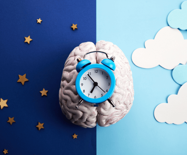 Circadian Clock and the Brain