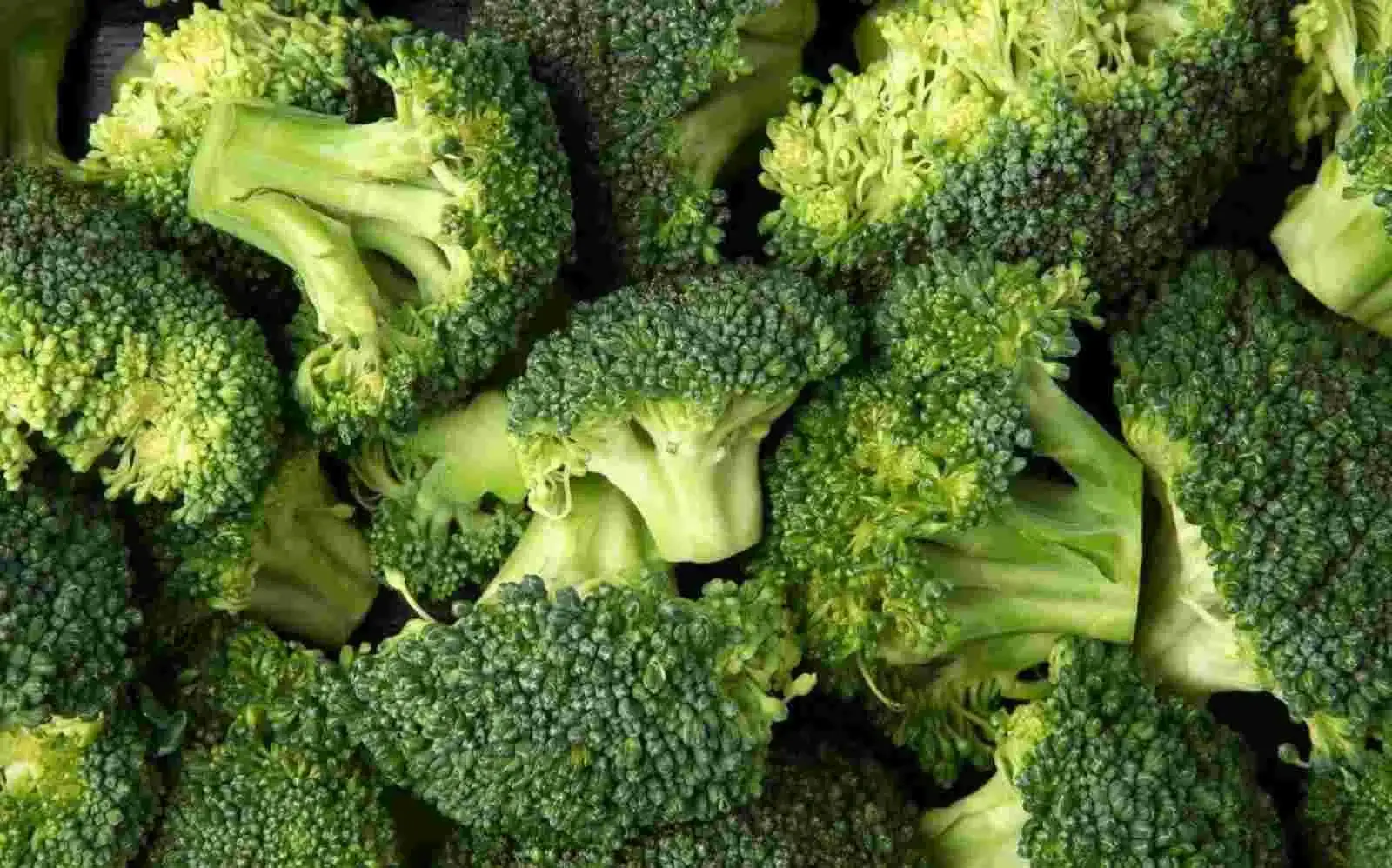 Broccoli for Immune Health