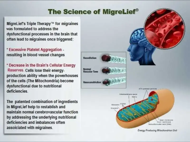 Science of MigreLief updated