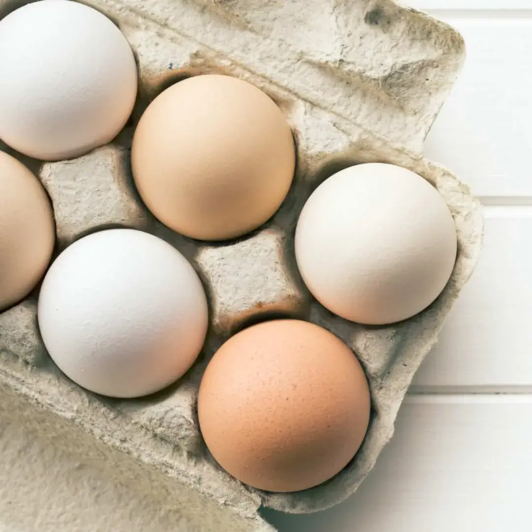 The Truth About Eggs and Cholesterol