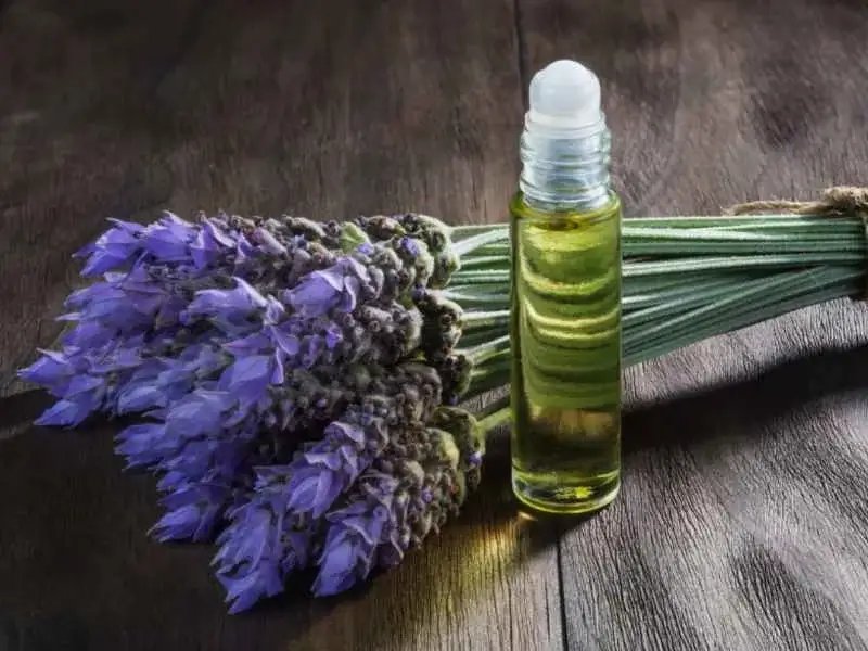 What Are Essential Oils and Why is Everybody Using Them?